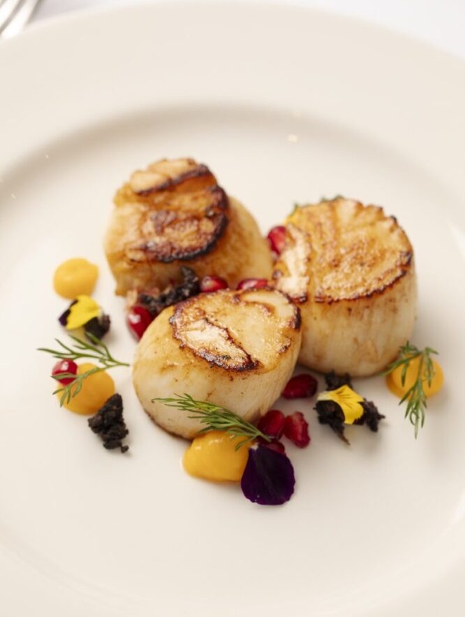 Seared scallops with vibrant garnishes.